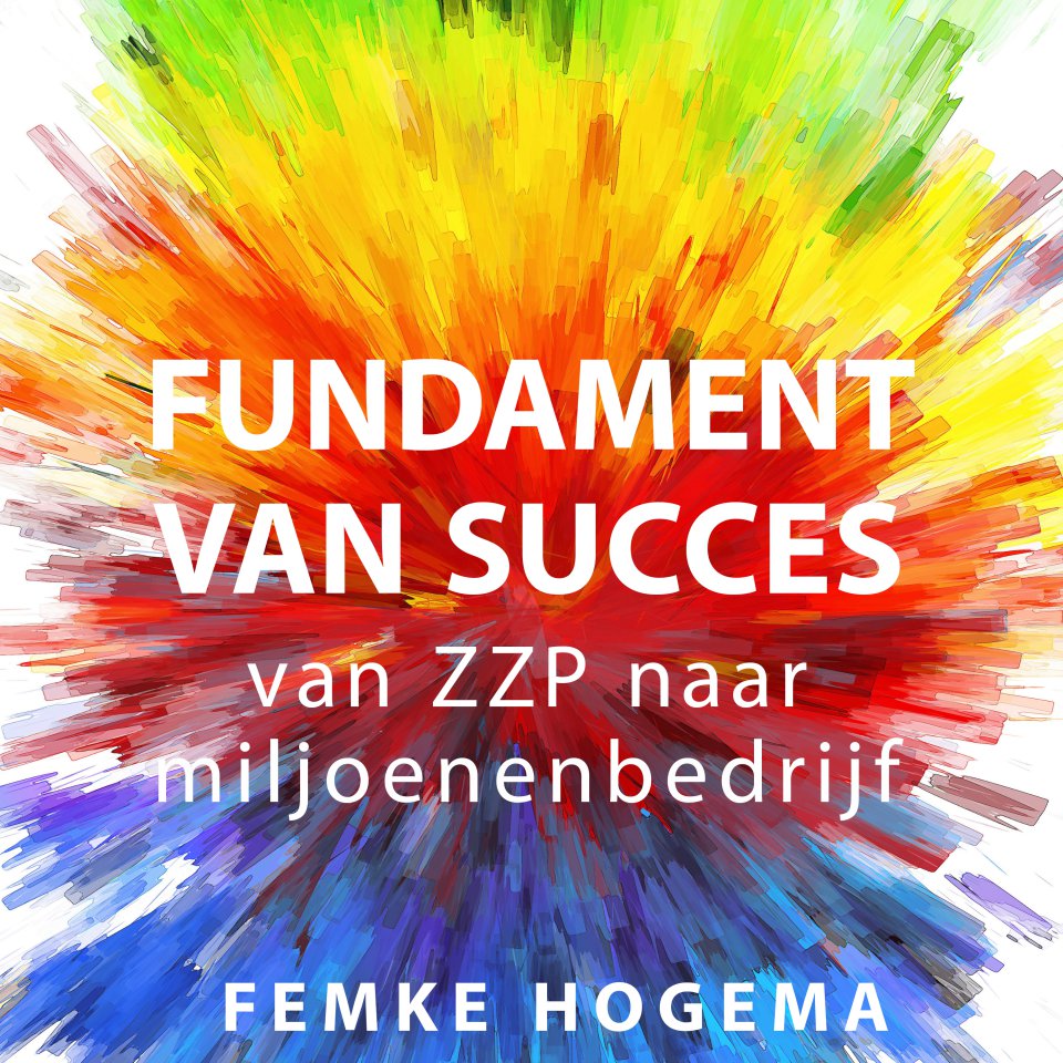 Omslagfoto van Fundament van succes