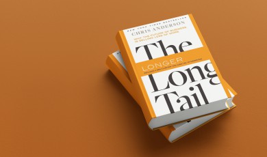 The Long Tail&nbsp;(samenvatting)