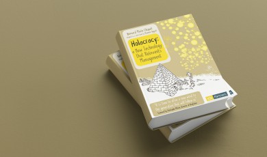 Holacracy&nbsp;(samenvatting)